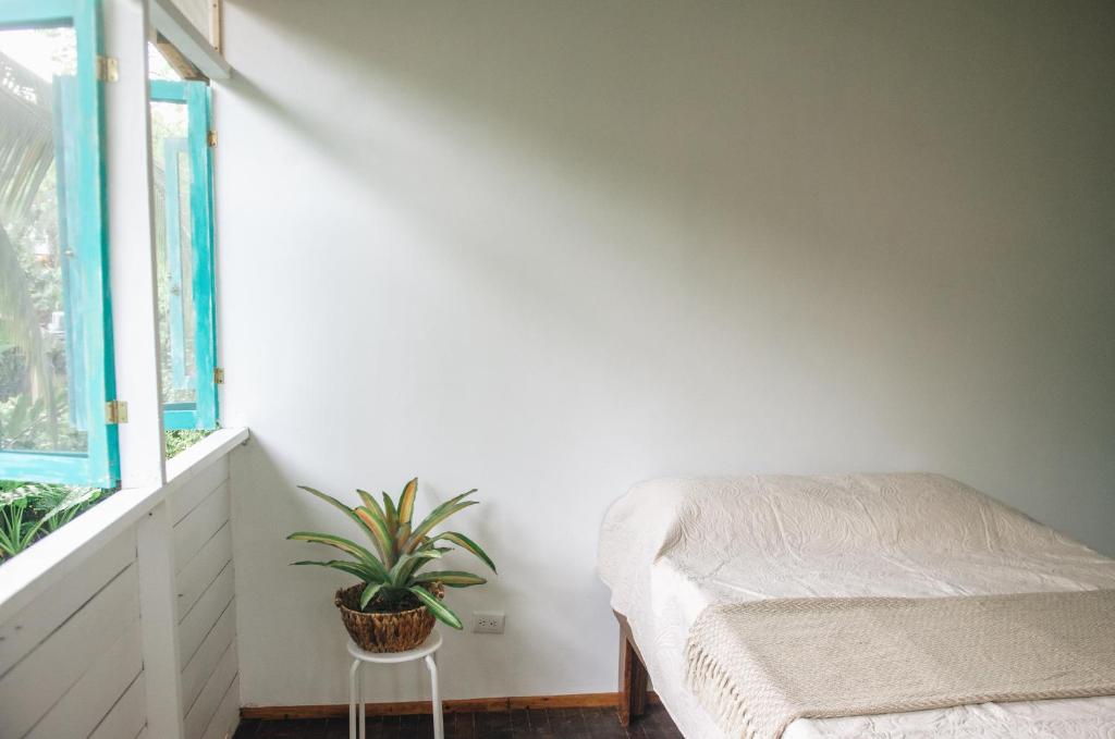 Casa BOHÖ photo 3