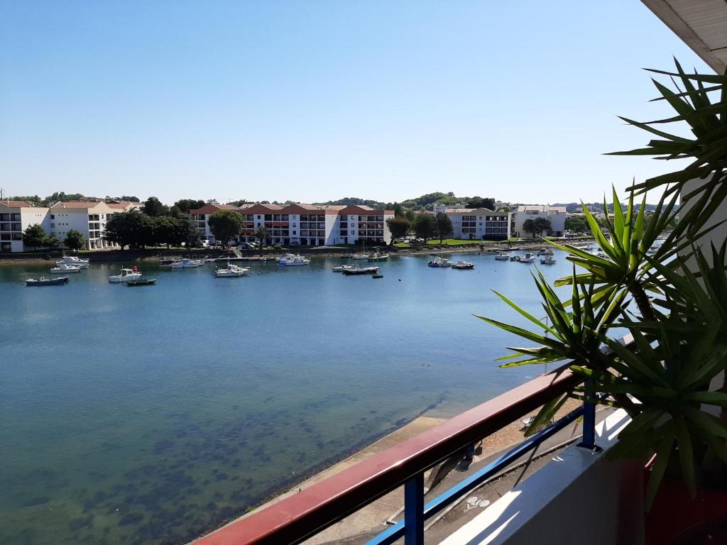Appartement Ciboure, 4 pièces, 6 personnes - FR-1-239-554 photo 4