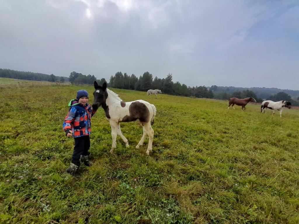 Agroturystyka Stylowy Pokój w Stajni photo 4
