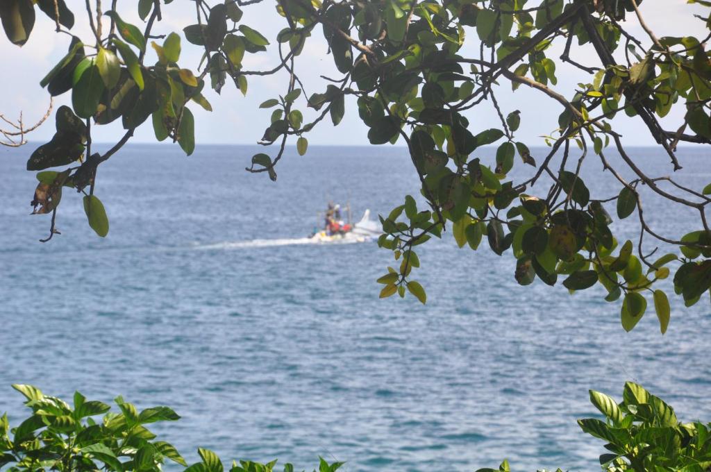Himashi Sea View Homestay photo 2
