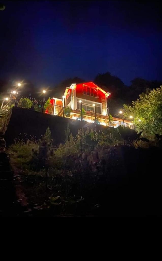 Petra Suit Bungalov Villa