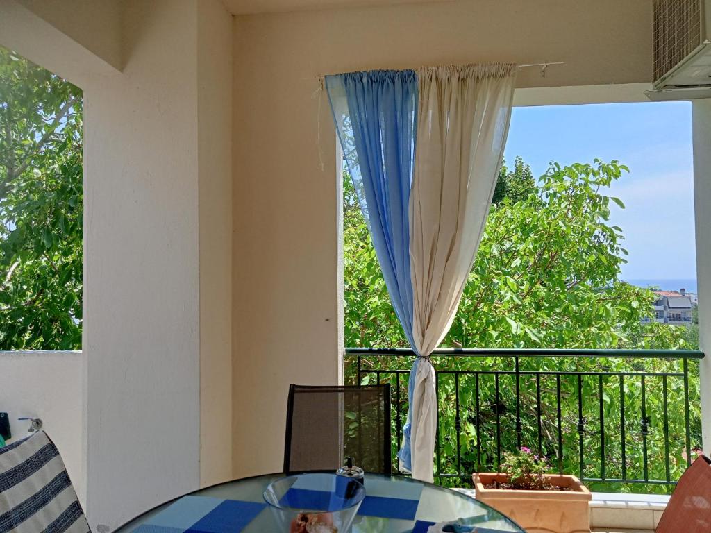 Oasis Apartment photo 4