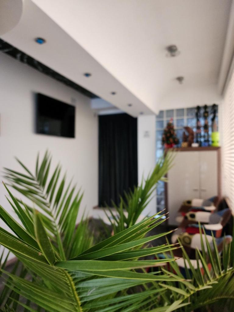 Penelopa Apartments photo 3