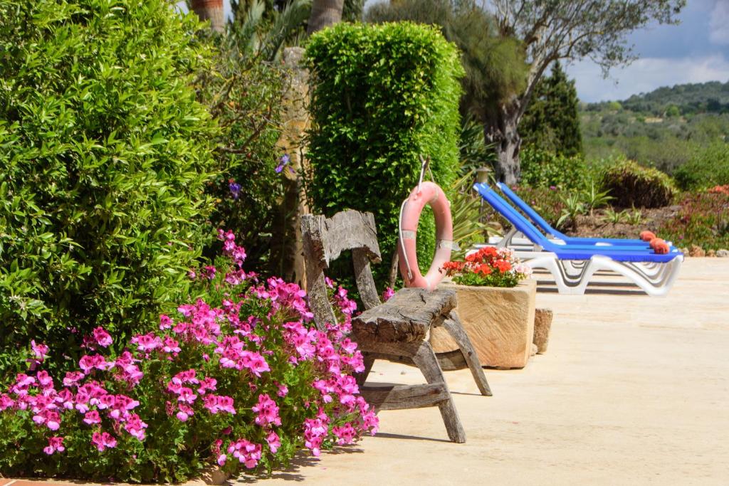 Finca Teuler Petit photo 4