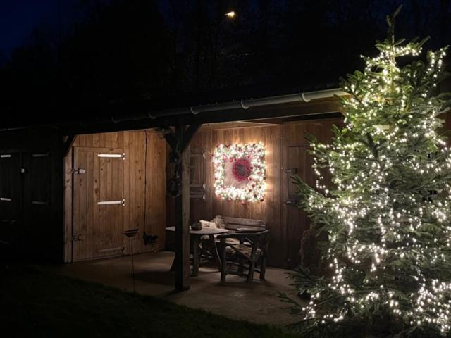 Cabin Margot with hot tub in private garden photo 2