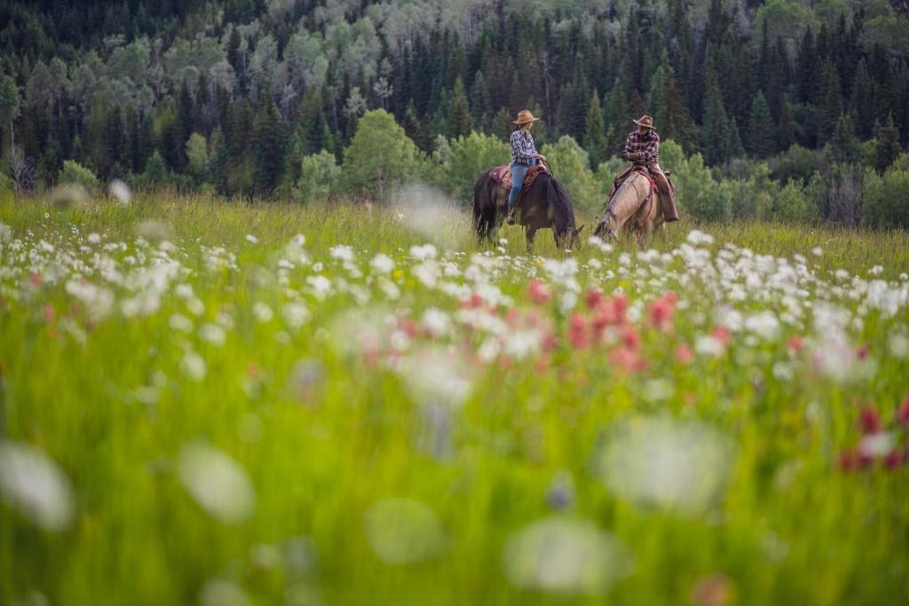 Montana Hill Guest Ranch photo 1