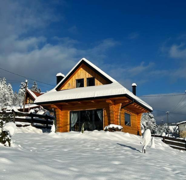 MamChwilkeHome photo 2