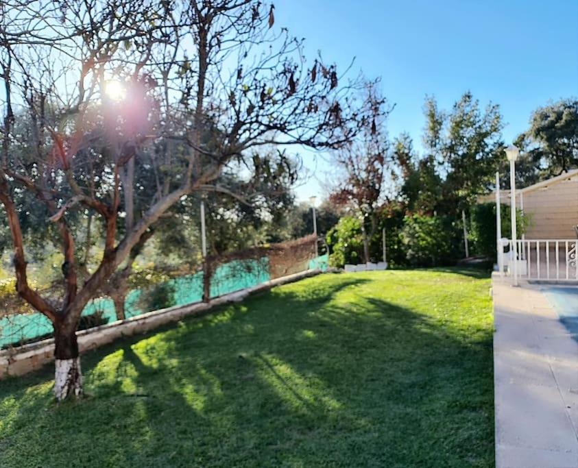 Villa Giralda photo 4