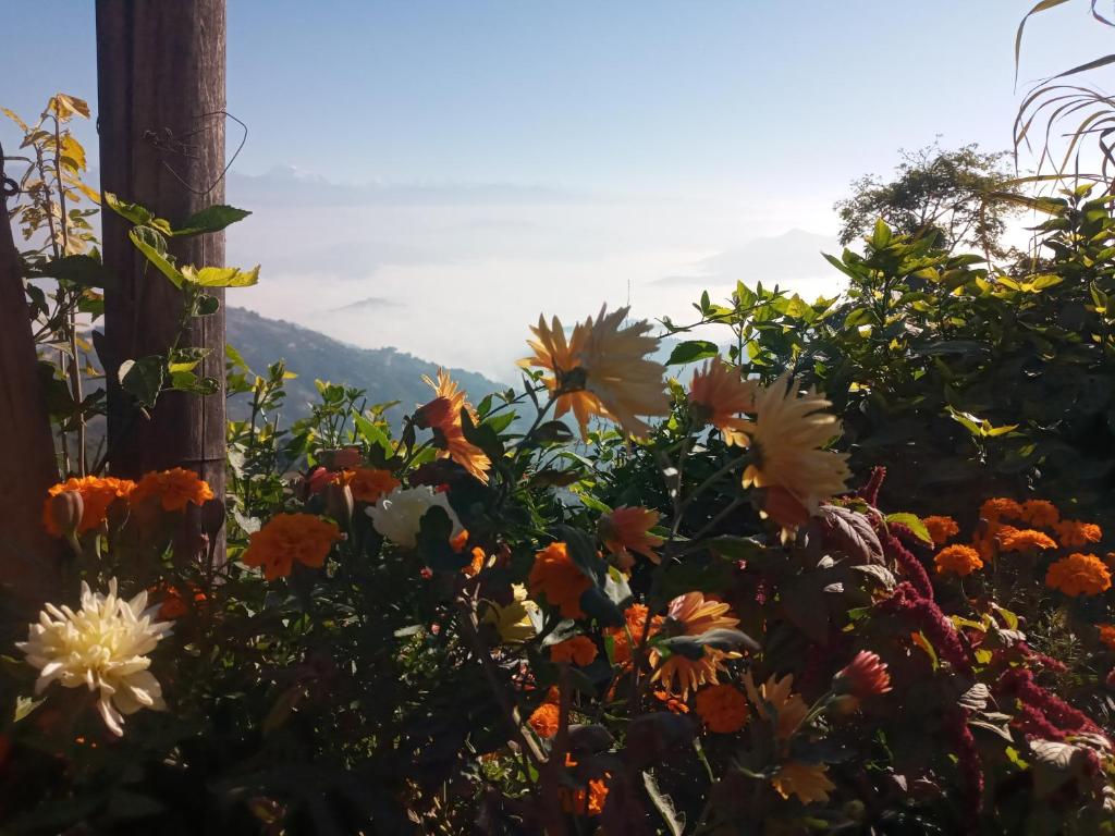 Unique point home stay