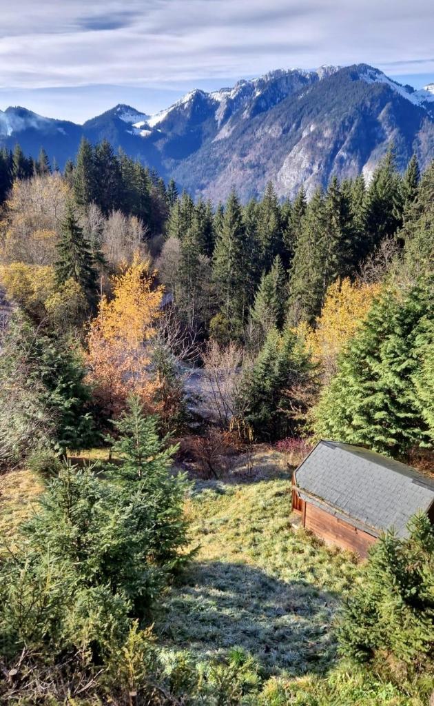 Alpine 1 bed Chalet with beautiful views photo 3