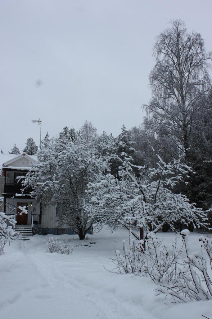 Rappens Stuga,Självhushåll photo 1