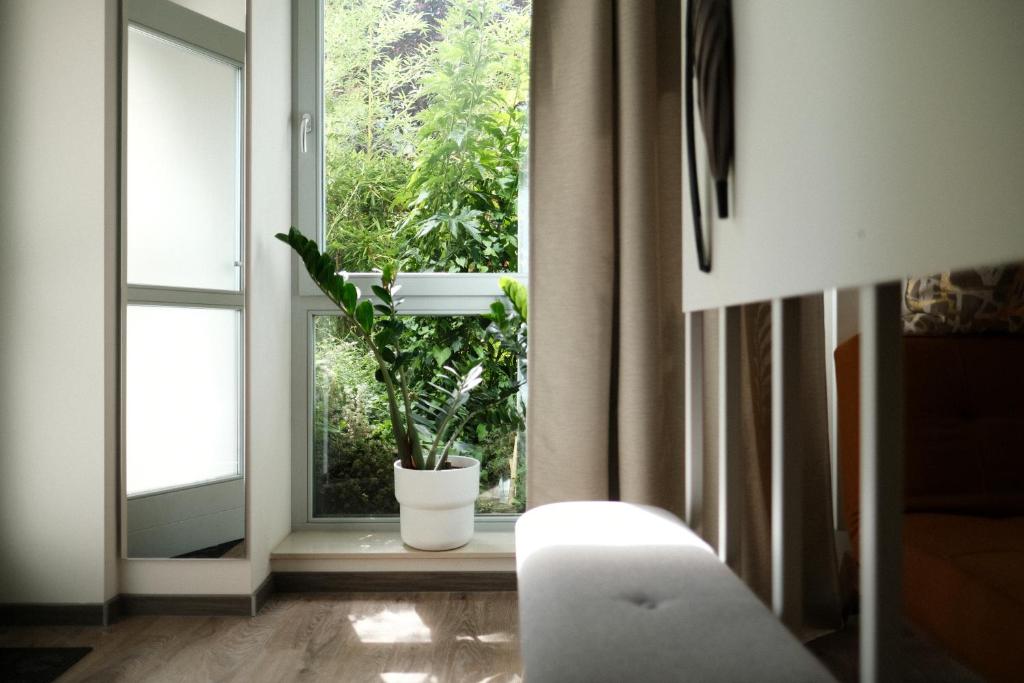 Apartments zur alten Konditorei photo 3