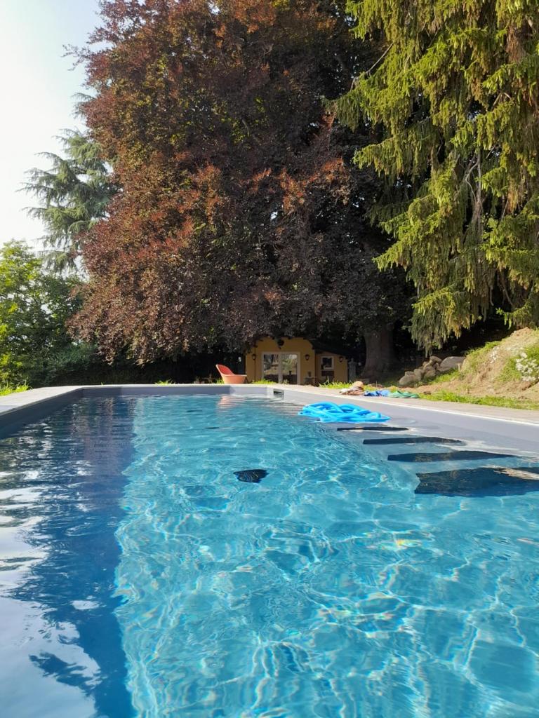 Cottage sotto il faggio centenario photo 1