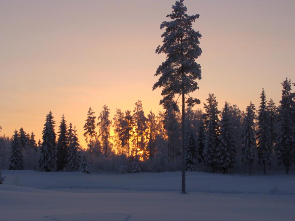 Villa Tiirinkallio photo 1