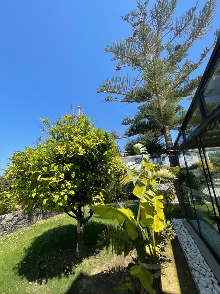 Dalyan Risus Suite photo 3