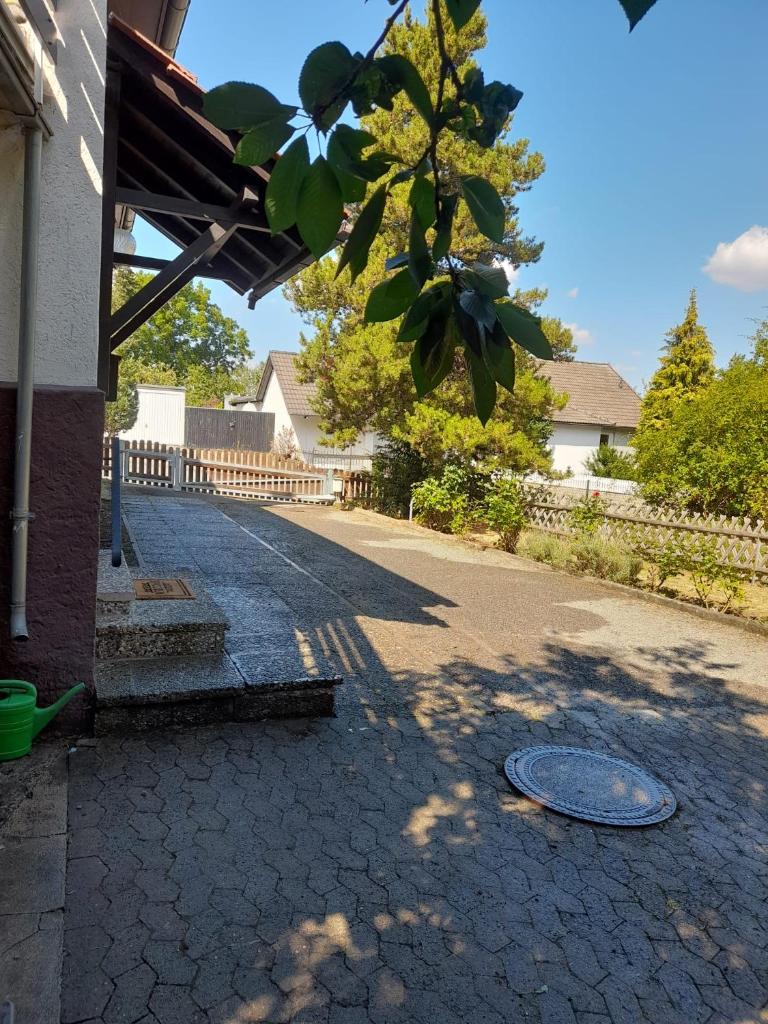 Ferienhaus International photo 3