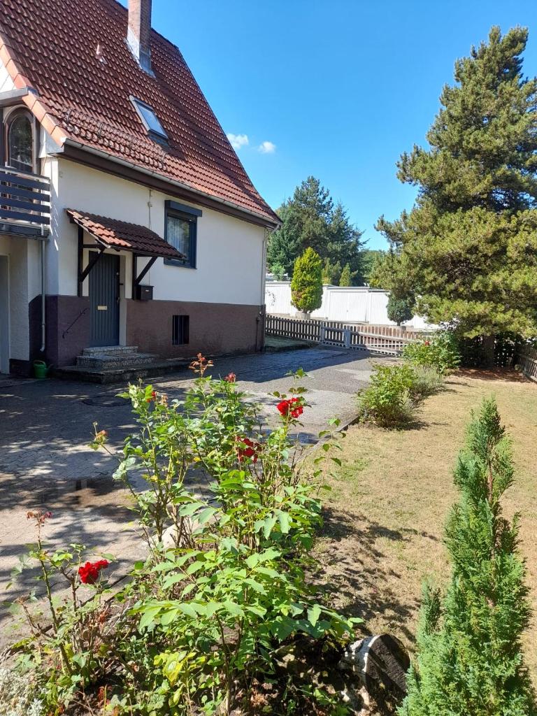 Ferienhaus International photo 2