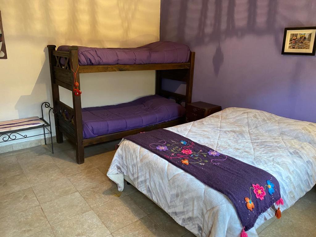 CASA SAMAÑA photo 2