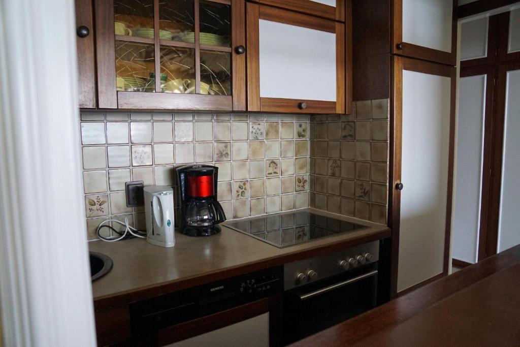 Haus-Seehund-16 photo 4