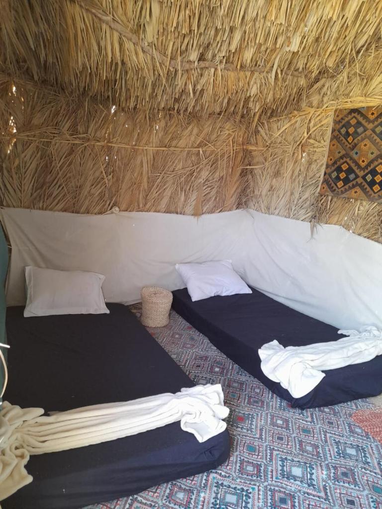 Hidigda Camp photo 2