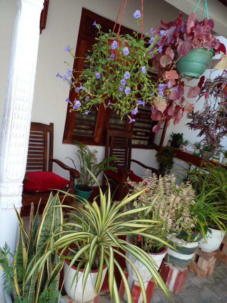 Gem Villa photo 4