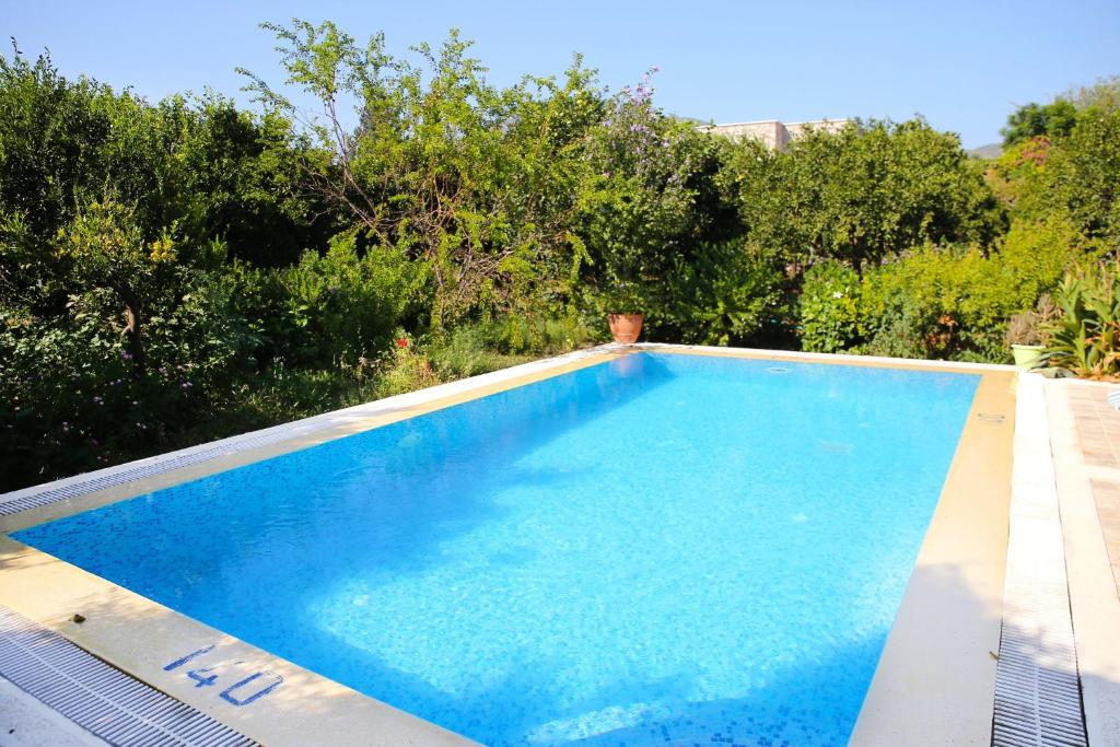 Villa Limon by Important Group Travel photo 3