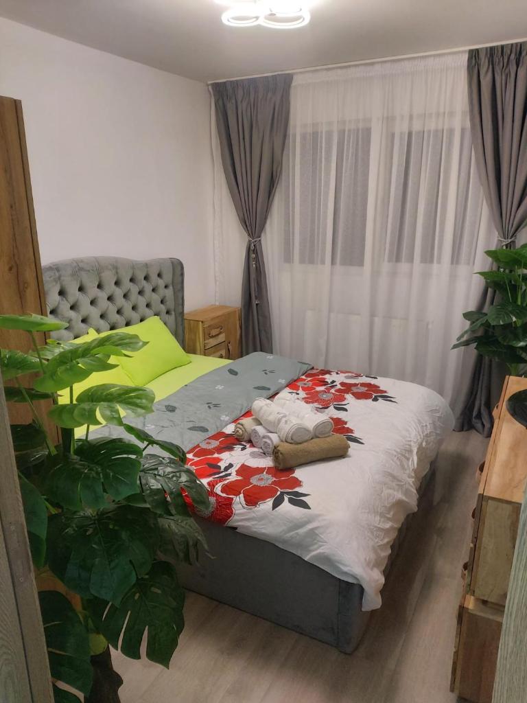 Breaza Comfort Apartment photo 2