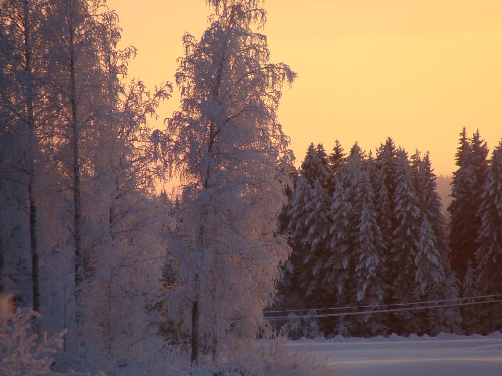 Villa Tiirinkallio photo 2