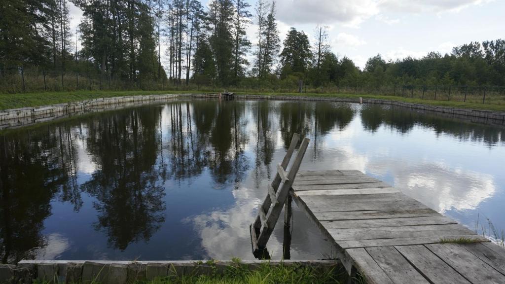 Agroturystyka Ostrowie photo 1