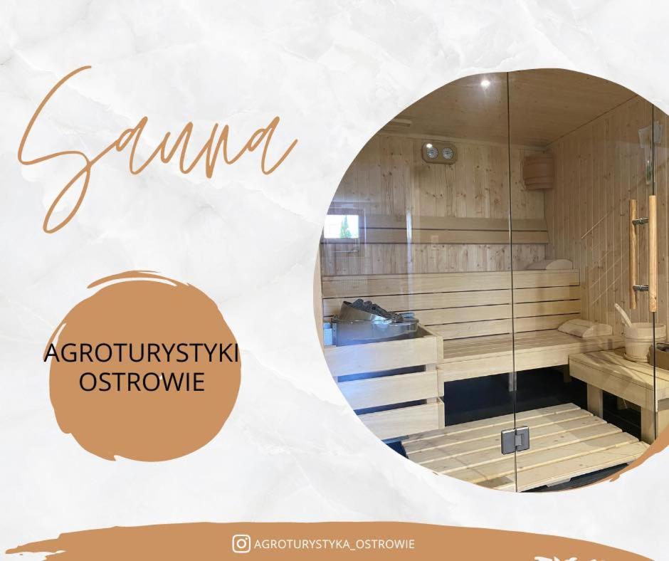 Agroturystyka Ostrowie photo 4