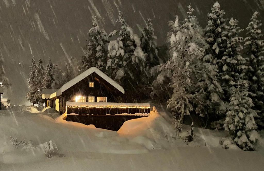 Holiday cottage with sauna close to Kjerag photo 3