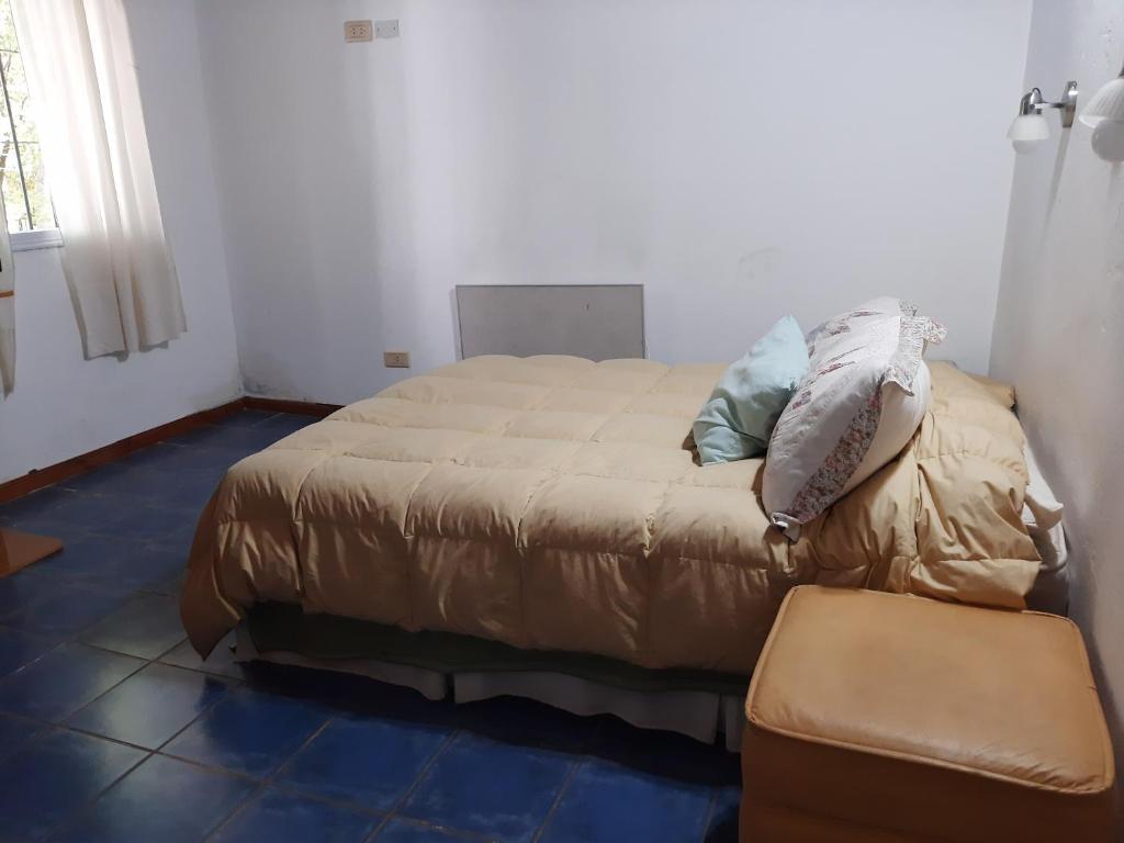 Abu Maia photo 4