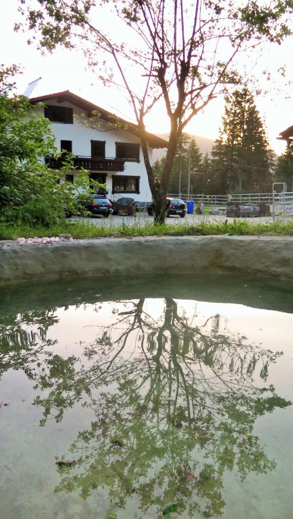 Dreimäderlhaus am Berg photo 4