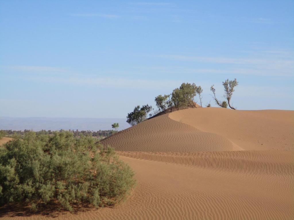 Camp Bounou Desert photo 2