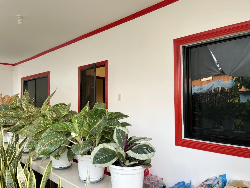 Lara's Guesthouse Siargao photo 1