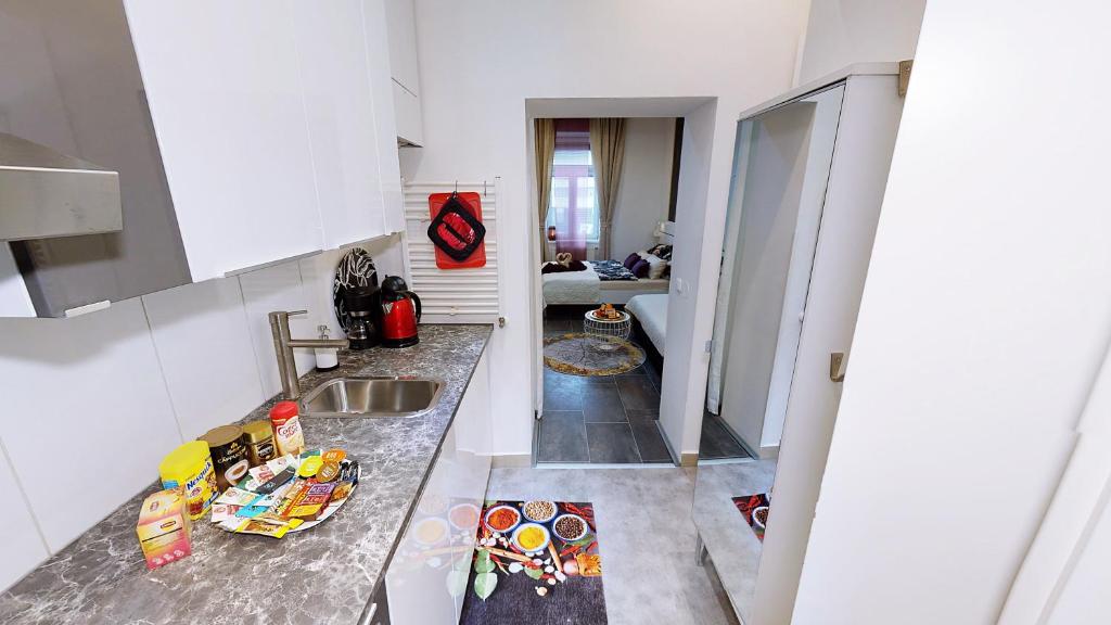 Apartment Bilici GmbH Room Type - Studio Apartment