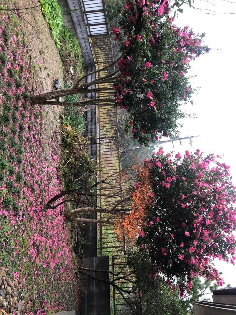 桃源郷 photo 3