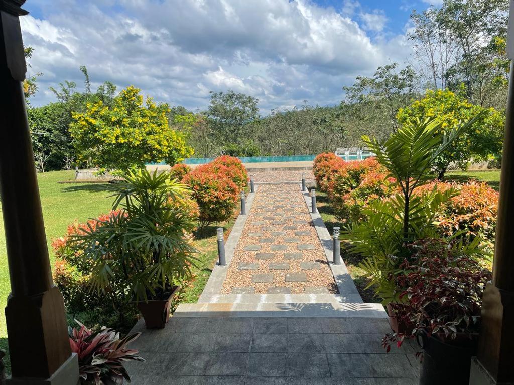 Dream Garden Plantation Lodge photo 1