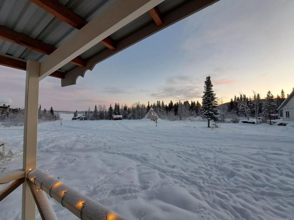 Aurora River Camp Glass igloos & cabins photo 3