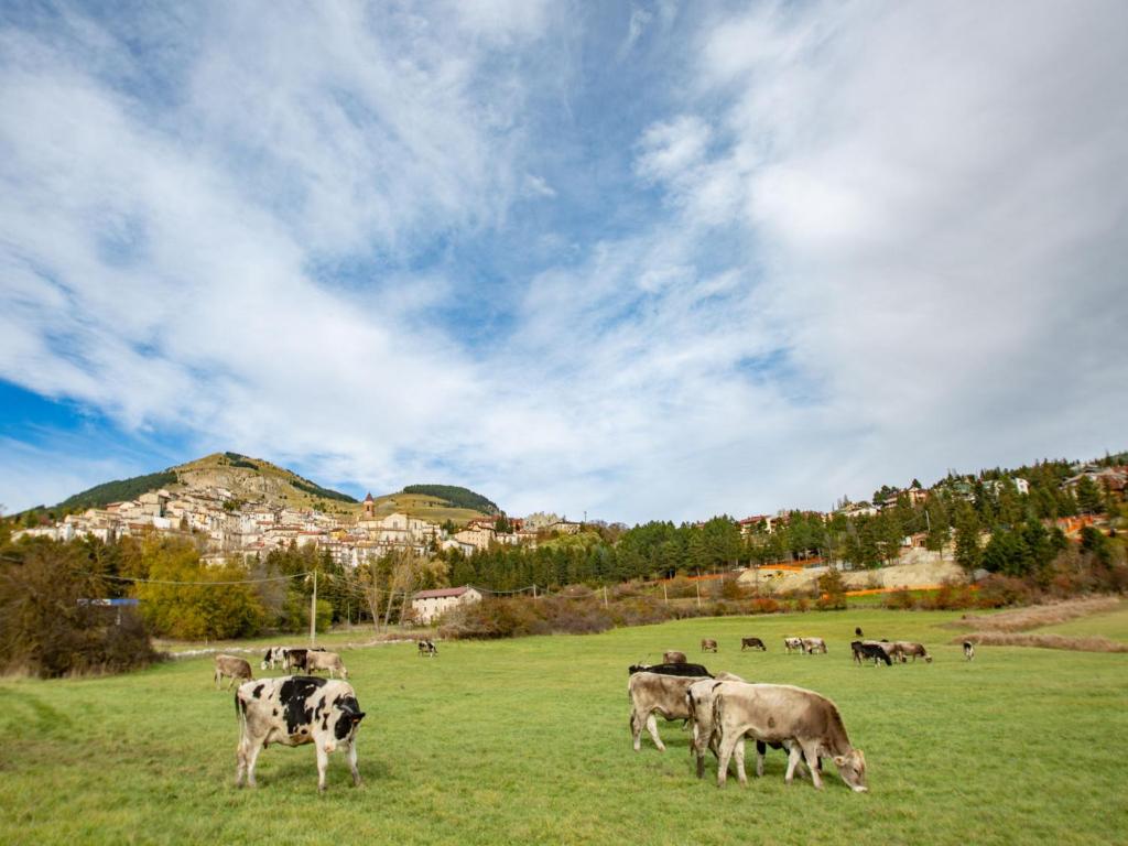 Apartment La Collina by Interhome photo 4