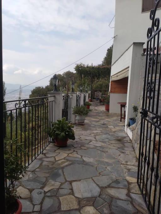 Athena's Guest House photo 3