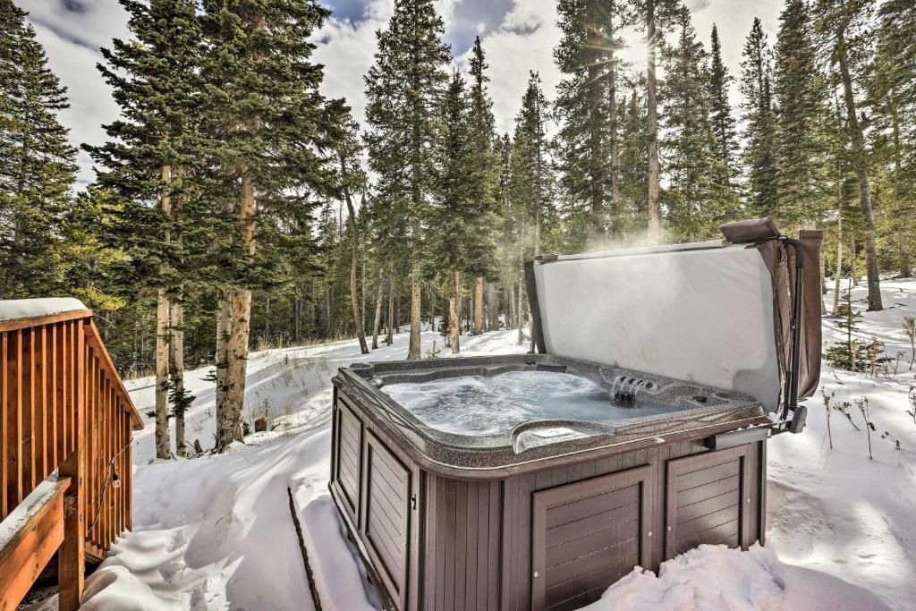 Bristle Cone Fairplay Cabin with Sauna and Hot Tub! photo 2