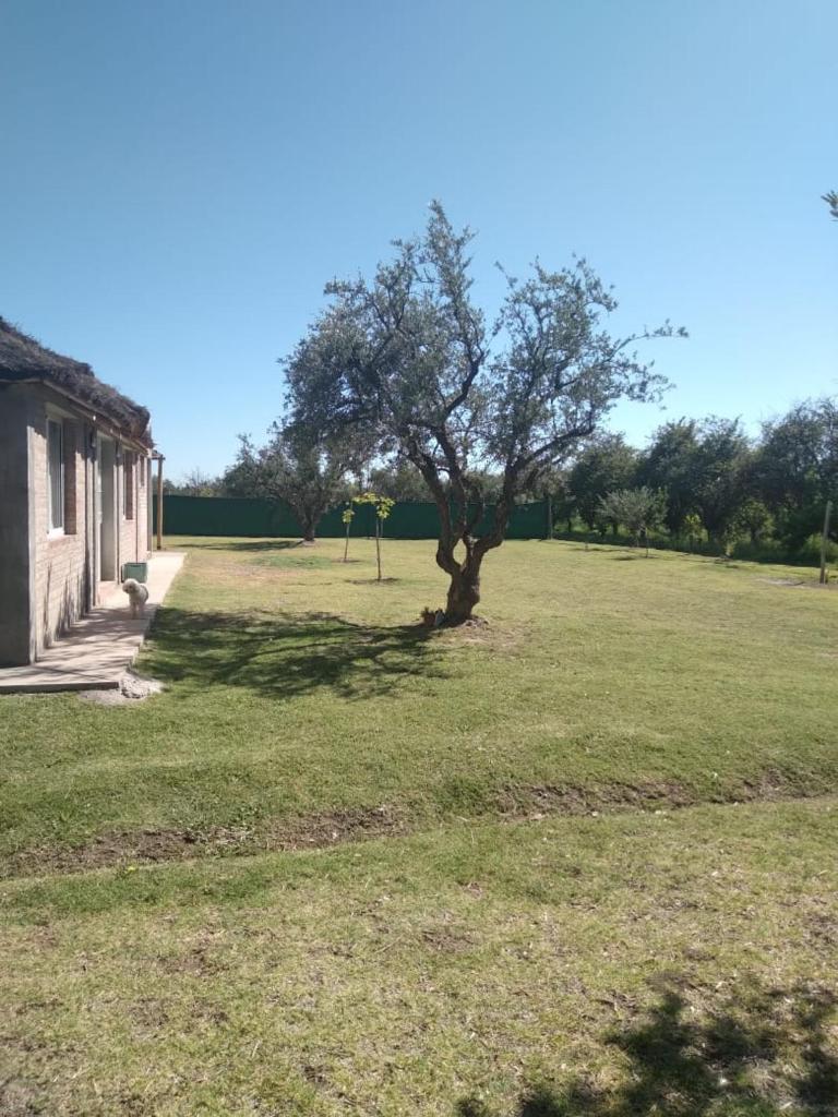 Cabaña Doña Alicia photo 2