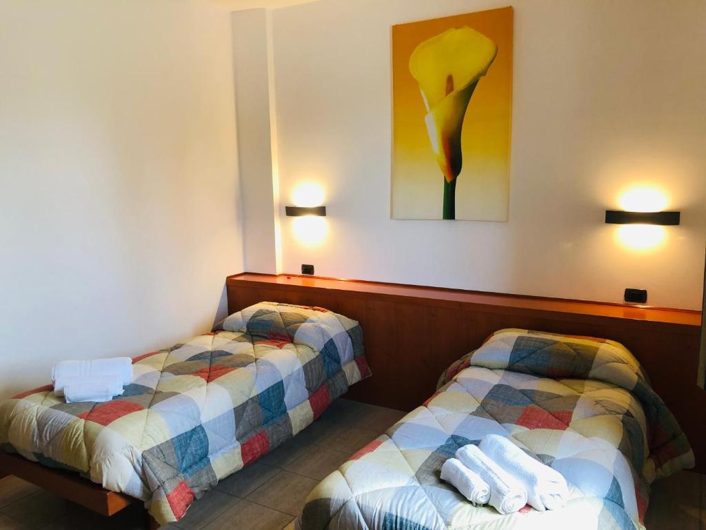 Hotel Softwood photo 4