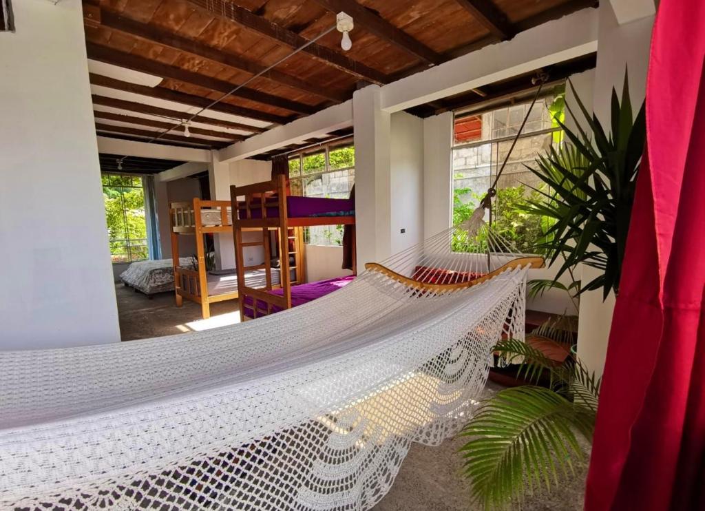 VAGO HOSTEL photo 1