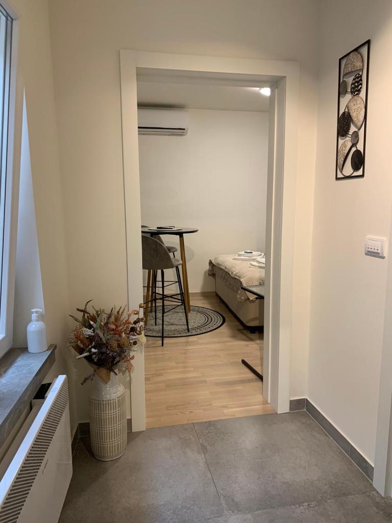 DM apartman Beograd photo 4