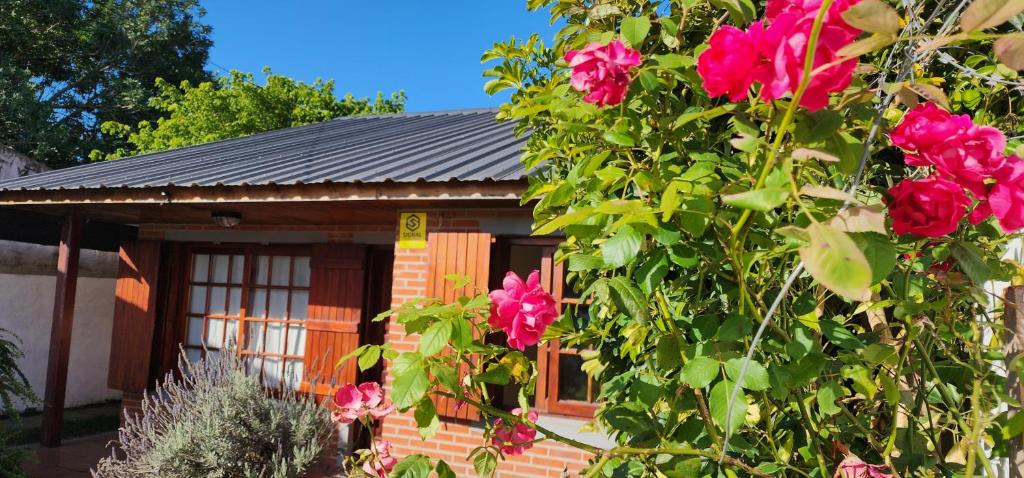 Mi casita