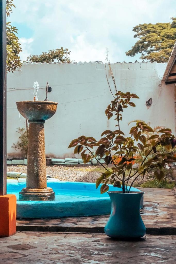 Casa Colonial photo 4