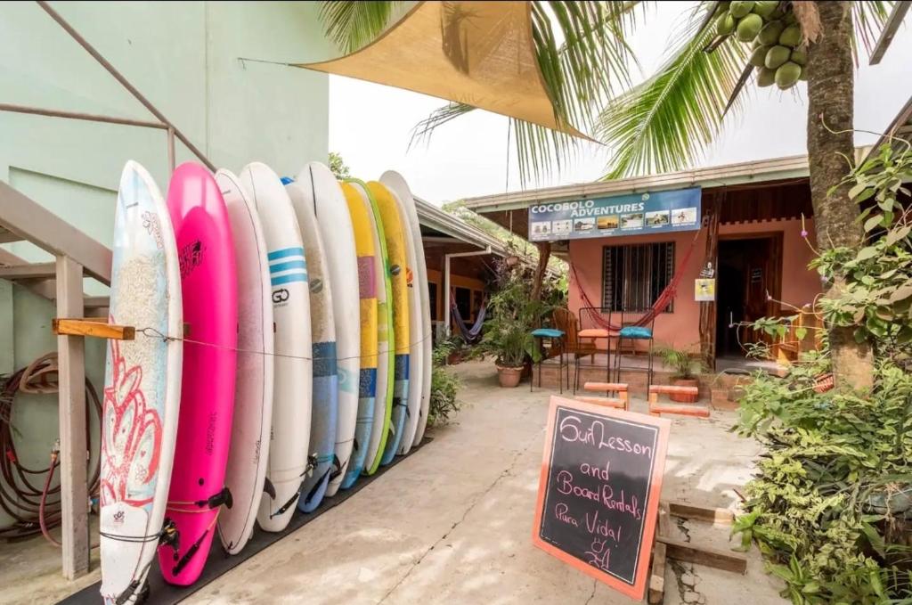 Cocobolo Surf Hotel & School photo 2