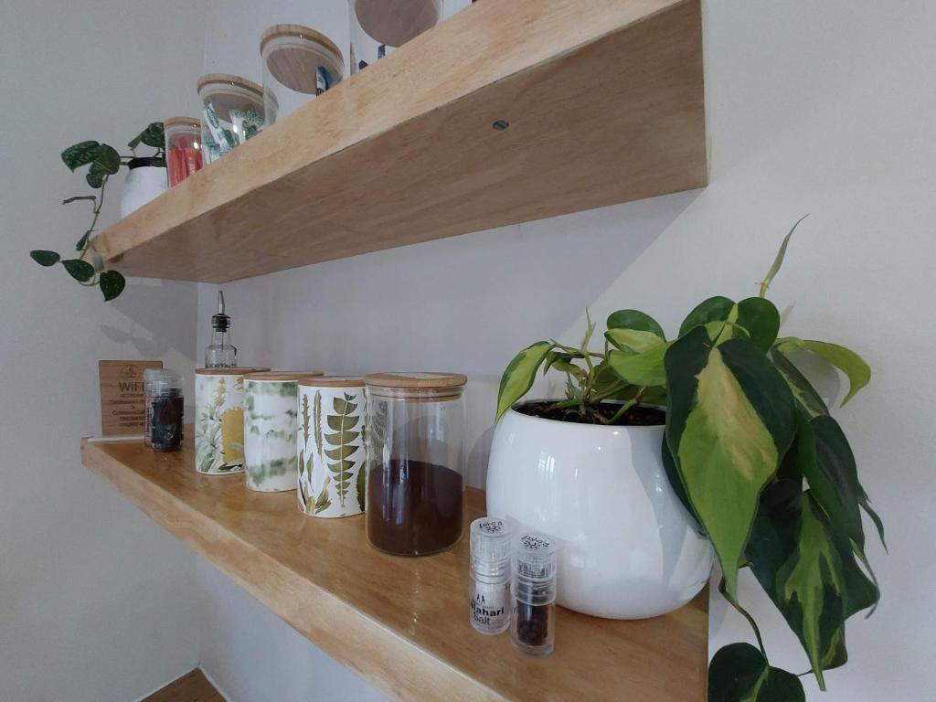 Upmarket off grid cottage on organic farm in secure estate photo 4